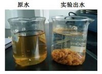 制漿造紙廢水脫色除COD方案