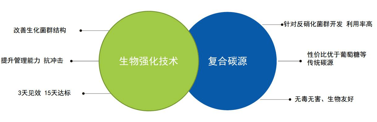 生活污水總氮降解技術，3天見效，15天達標