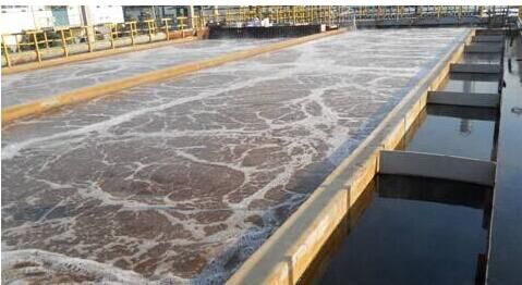 總氮提標超標處理