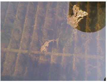 氨氮和COD的處理方法