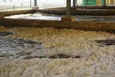 污泥老化與污泥中毒