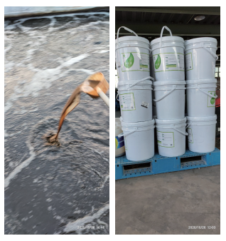 印染廢水COD降解案例