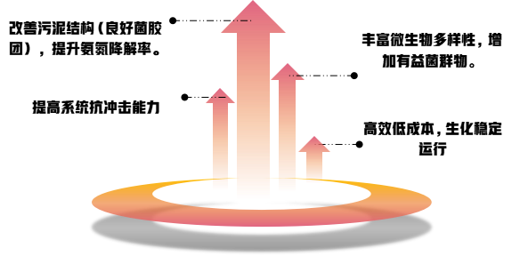 庫巴魯?好氧系統促生菌