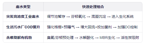 COD廢水超標(biāo)快速治理工藝推薦